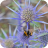 A Spiky Customer_JT-2