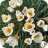 AE3F1DD6-E5EE-47F1-8ED7-C58D3F766459