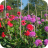 Allotments 2