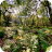 Autumnal Image 1