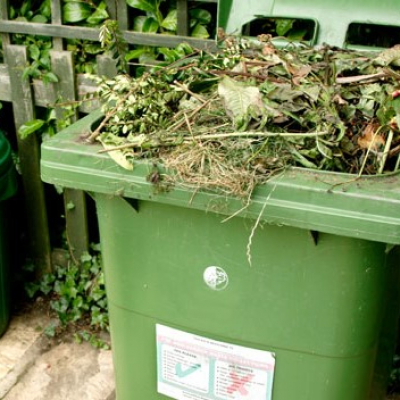 bin_1914192a (1) copy
