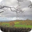 burwardsley images