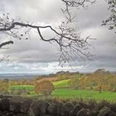 burwardsley images