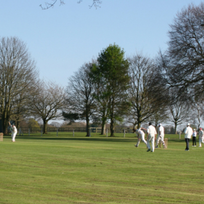 Cricket-Lymm-