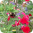 F8841017-9E46-4092-BC36-4BE3E73F38C6_1_201_a