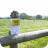 Flacca footpath 2 JPG
