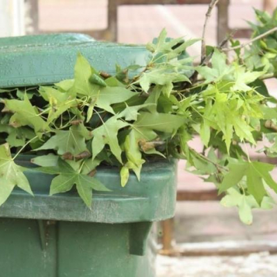 Green Bin