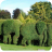 Hedges