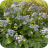 Image: 16259600-EB0F-4075-BA5B-2B9CD24E547B