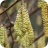 methode_times_prodmigration_web_bin_f828fe86-6b15-3577-8e1c-519b565211da