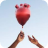 NHS Organ Donation