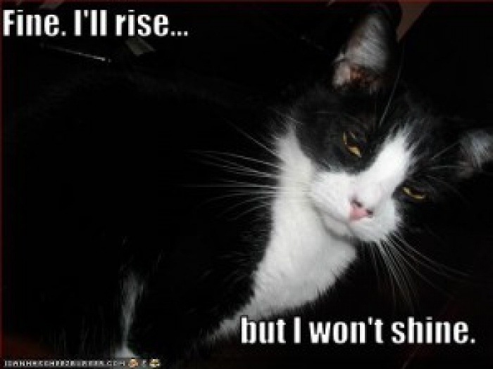 rise-and-shine