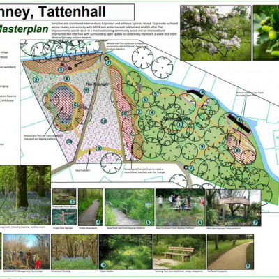 Tattenhall