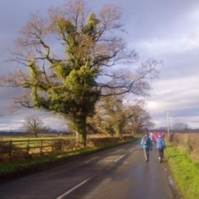 U3A walk 1