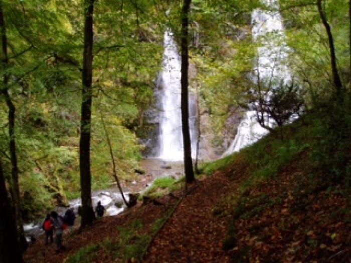 U3A walk