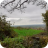 U3A Walk Nov 14 jpg