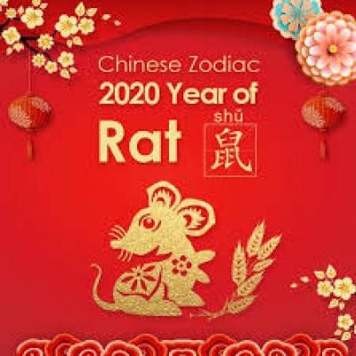 Year of the Rat